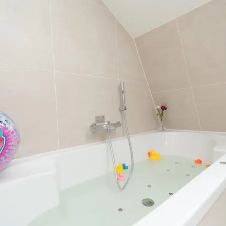 Beautiful New With Hot Tub Holiday home Egmond aan den Hoef